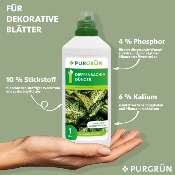 Purgrün Dieffenbachia-Dünger 1 Liter