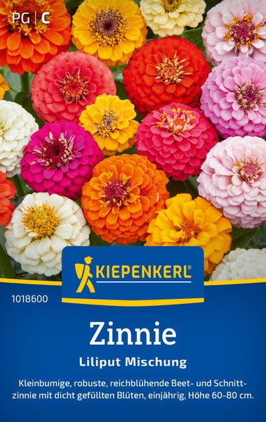 Kiepenkerl Saatgut Zinnie Liliput Mischung einjährige Schnittblume für Beete Höhe 60 bis 80 Zentimeter