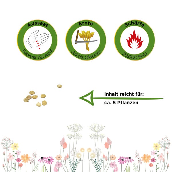 Chili Piccante a Mazzetti Samen von Deine Gartenwelt