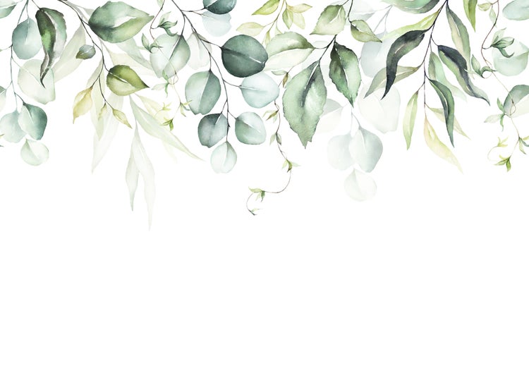 Vliestapete mit Aquarell-Eukalyptusblättern und grünen Ranken als Bordüre am oberen Rand.