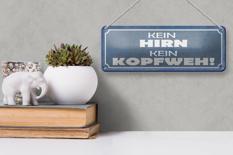 Blechschild Spruch 27x10cm kein Hirn kein Kopfweh Dekoration