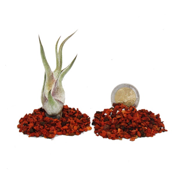 Bosch Logo, Barcode, Sicherheitshinweise und Produktdetails