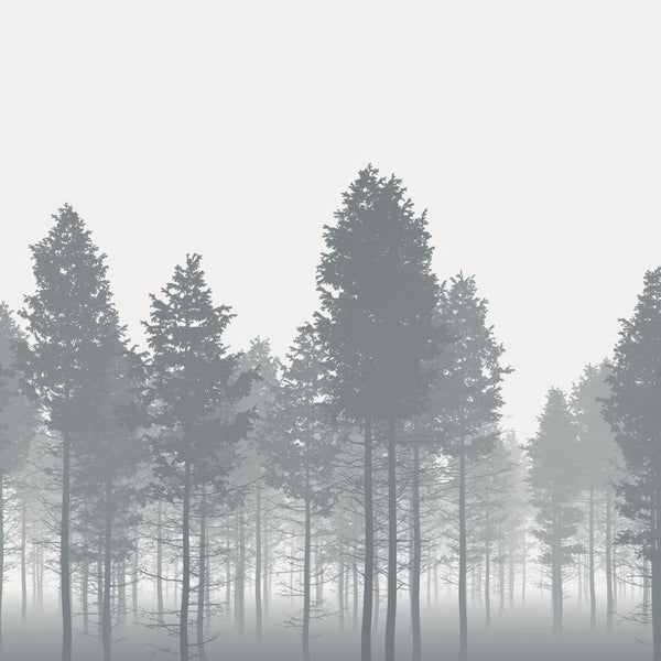 Illustration eines dichten Waldes im Nebel.