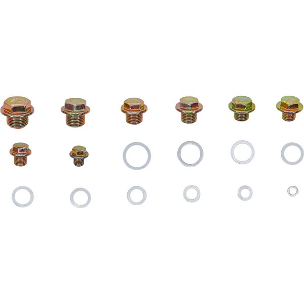 Ablassschrauben und Dichtringe im Set