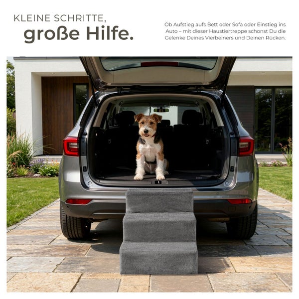 Hund sitzt im Kofferraum eines Autos mit einer dreistufigen Haustiertreppe davor