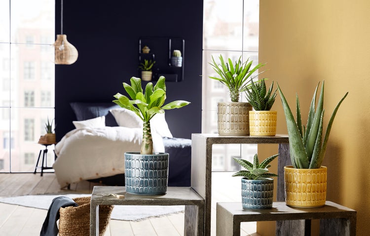 Scheurich Lagom, Blumentopf aus Keramik,  Farbe: Alma, 15,9 cm Durchmesser, 14,6 cm hoch, 3,7 l Vol.