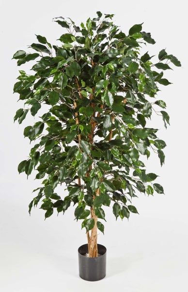 Künstliche Ficus Benjamina Pflanze in schwarzem Kunststofftopf mit dichten grünen Blättern und Naturholzstamm.