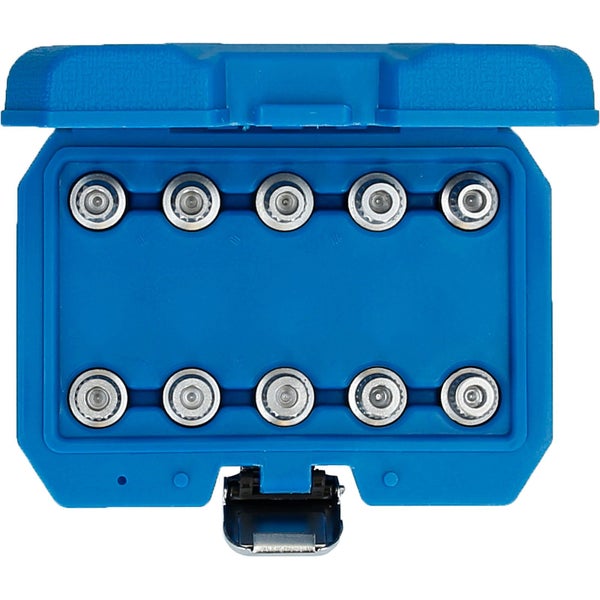 Blaue Kunststoffbox mit Zehn AA-Batterien