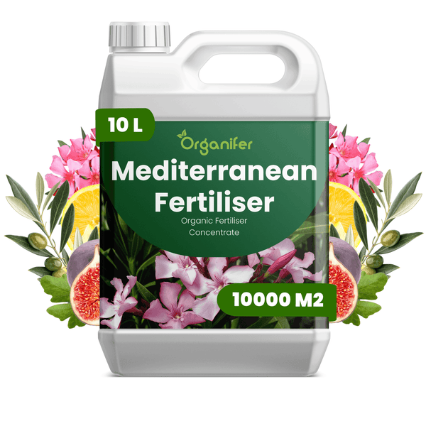 Organifer Mediterraner Dünger Konzentrat, 10 Liter für bis zu 10000 Quadratmeter, organischer Flüssigdünger.