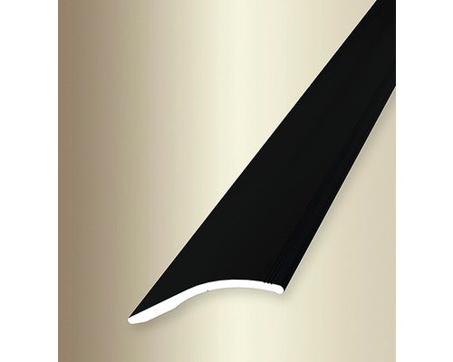 Ausgleichsprofil 248 SK 40x0-18 mm Alu pulverbeschichtet schwarz 100 cm