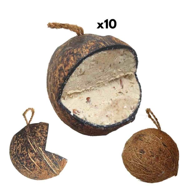 Vogelfutter, 10 Kokosnuss Klassik V-Cut für freilebende Vögel