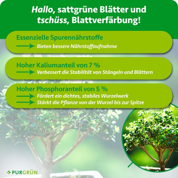 Infografik zu Pflanzendünger: Erläuterung der Vorteile von Spurennährstoffen, 7 Prozent Kalium für Stabilität und 5 Prozent Phosphor für Wurzelwachstum. Purgrün Logo.