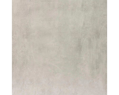 Wand- und Bodenfliese Cemento taupe 61,5x61,5x0,85cm