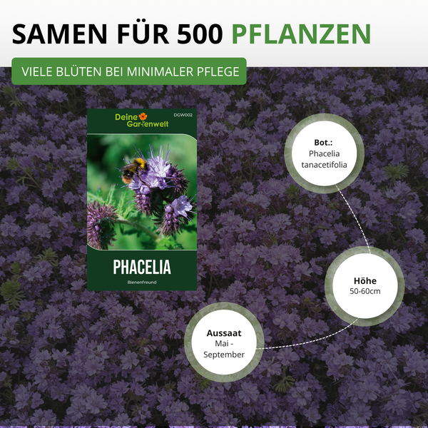 Samenpaket für Phacelia Bienenfreund von Deine Gartenwelt Logo. Reicht für 500 Pflanzen, Wuchshöhe 50 bis 60 Zentimeter, Aussaat Mai bis September.