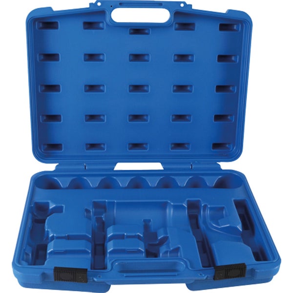 Dekorative Gartenpflanze mit gestreiften Blättern