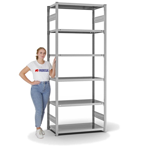 PROREGAL Fachbodenregal Stecksystem T-Profil Light-Duty Grundregal HxBxT 250 x 100 x 50 cm 6 Ebenen Fachlast 140 kg Beidseitig Nutzbar Verzinkt