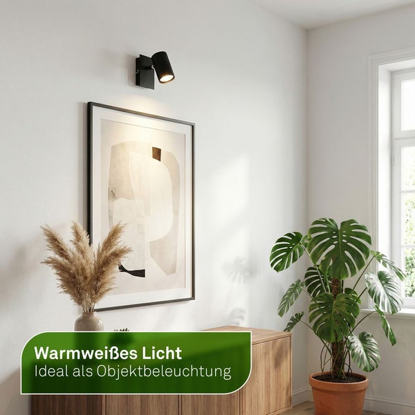 Wohnraum mit schwarzer Wandleuchte über einem gerahmten Bild und einer Pflanze