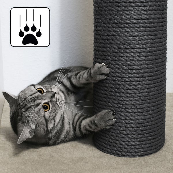 Eine Katze kratzt an einem stabilen Sisalstamm als Kratzmöglichkeit mit Symbol für Tierbedarf.