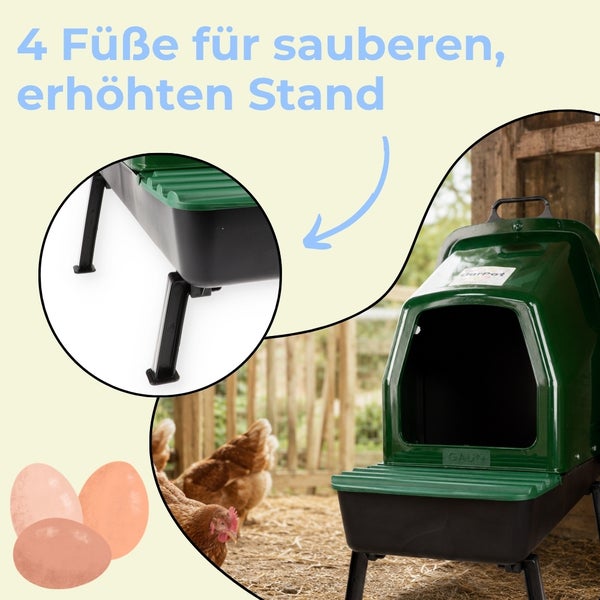 Grünes Legenest aus Kunststoff für Hühner mit vier schwarzen Füßen für einen erhöhten, sauberen Stand.