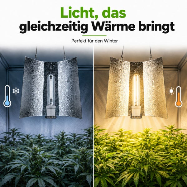 Pflanzenlampe mit Reflektor über einer Pflanzenkultur im Vergleich von kalter und warmer Lichtwirkung.