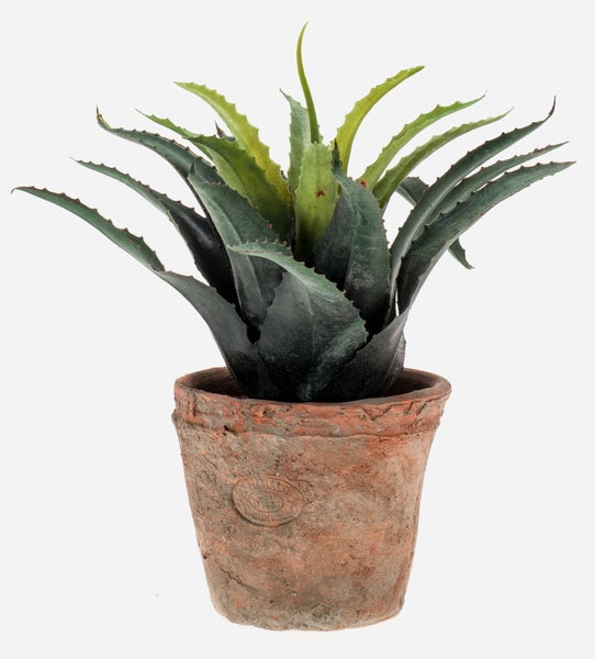 Künstliche Agave mit spitz zulaufenden, gezackten Blättern, Detailansicht.