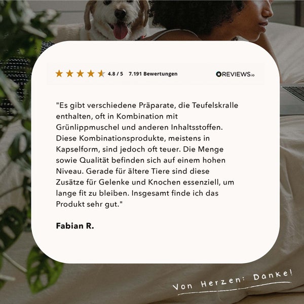 ALPHAZOO Afrikanische Teufelskralle 100g für Hunde und Katzen I Reine Teufelskrallenwurzel