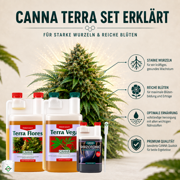 Canna Terra Düngeset für Erde mit Terra Flores, Terra Vega und Rhizotonic Düngerflaschen.