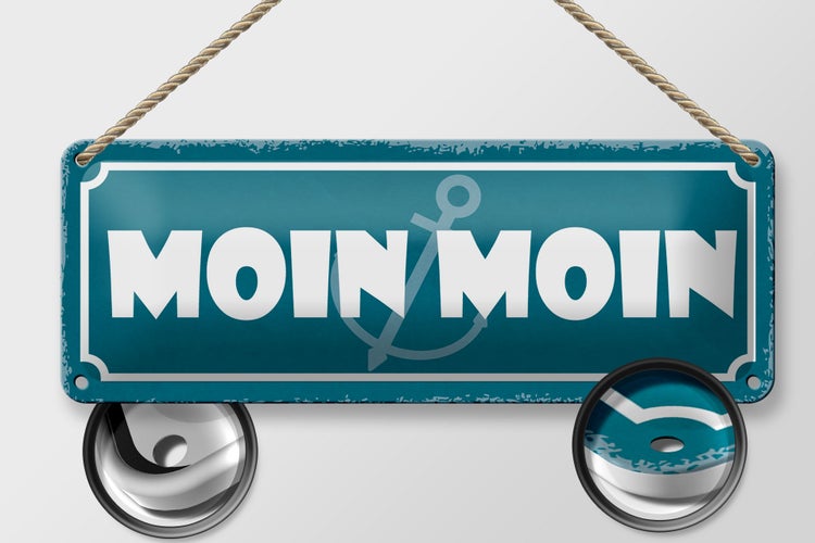 Blechschild Spruch 27x10cm Moin Moin Dekoration