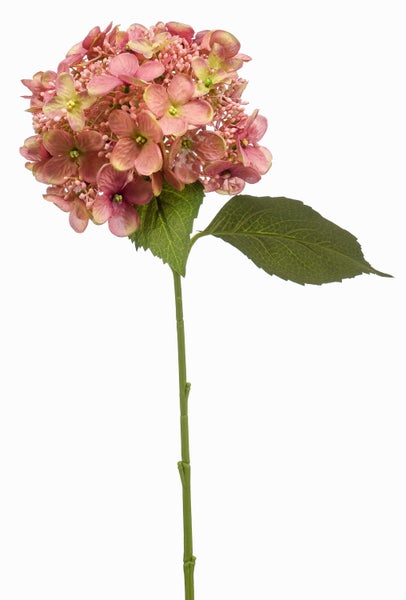 Künstliche Hortensie am Stiel mit rosafarbenen Blüten und grünen Blättern.
