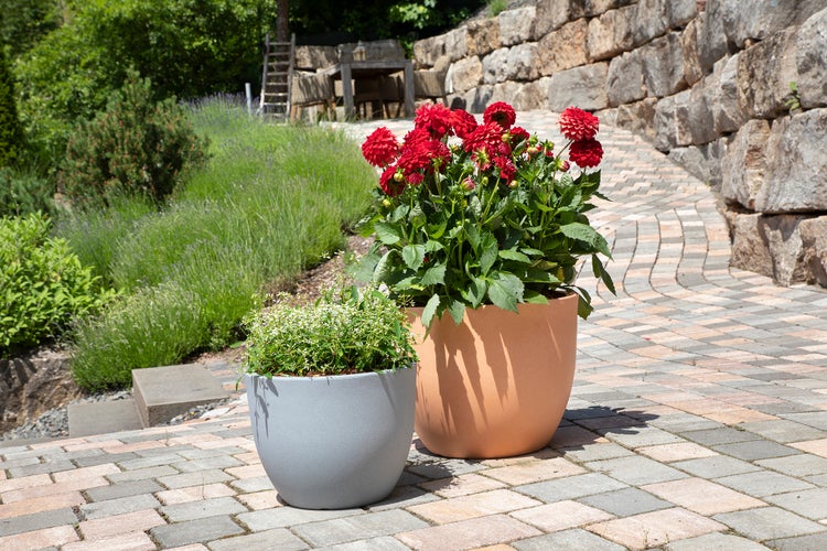Scheurich Firenze 40, Pflanzgefäß/Blumentopf/Pflanzkübel, rund,  aus Kunststoff Farbe: Terracotta, 39,6 cm Durchmesser, 30,7 cm hoch, 24 l Vol.