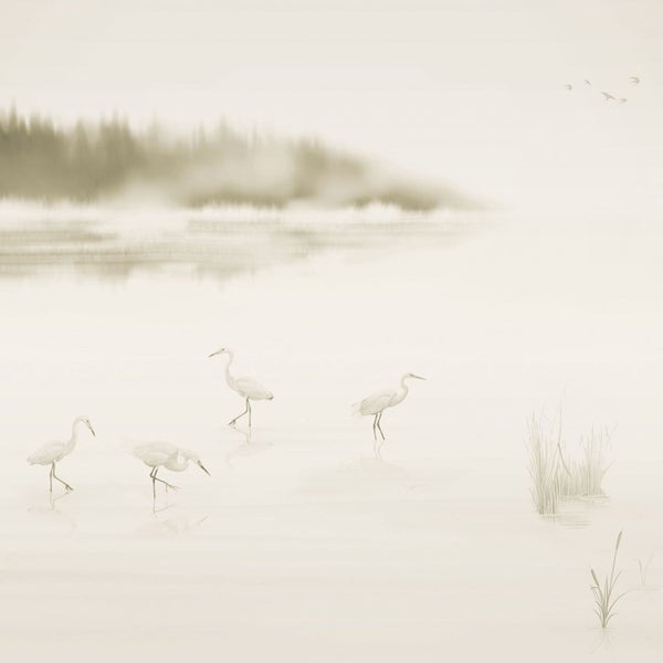 Illustration mit Reihern im Wasser, Wald im Hintergrund und fliegenden Vögeln