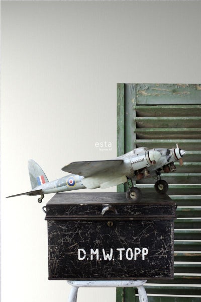 Dekoratives Flugzeugmodell auf einer antiken Truhe