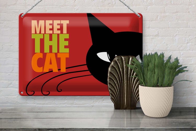 Blechschild Spruch 30x20cm Katze Meet the cat