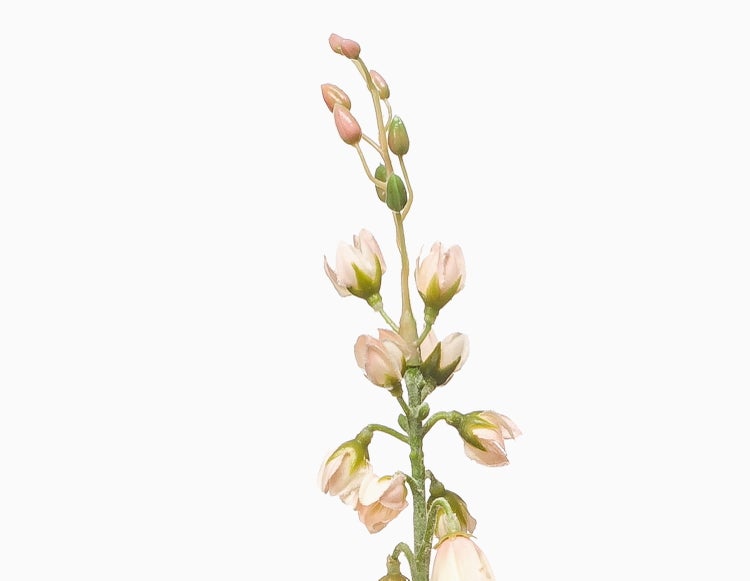 Künstlicher Blütenstiel mit mehreren kleinen Knospen und Blüten.