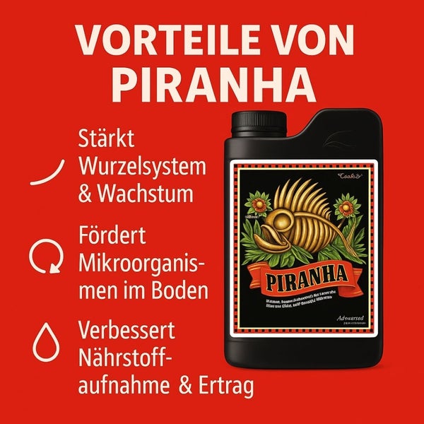 Piranha Dünger zur Stärkung des Wurzelsystems und Verbesserung der Nährstoffaufnahme