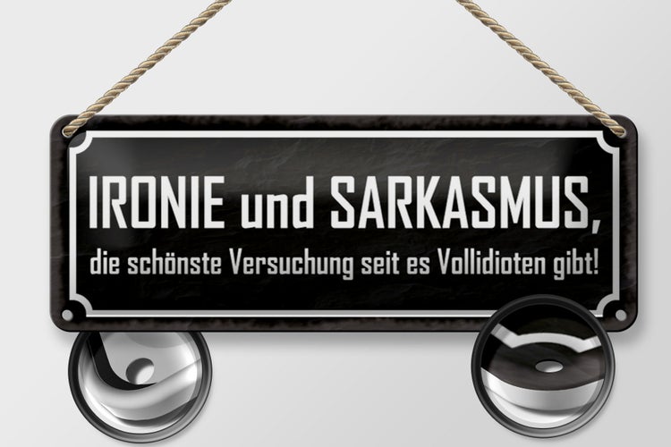 Blechschild Spruch 27x10cm Ironie und Sarkasmus Dekoration