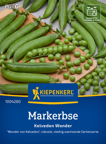 Kiepenkerl Markerbse Kelvedon Wonder Saatgut auf einem Holzbrett mit frischen Erbsen und Schoten, geeignet für Hochbeet und Kübel.