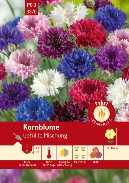 Samenpackung für Kornblumen Gefüllte Mischung. Pabst Keimkraft Logo. Informationen zu Aussaat und Wuchshöhe von circa 90 Zentimetern.