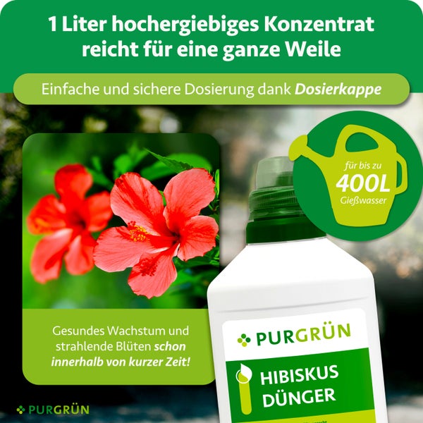 Purgrün Hibiskus Dünger Konzentrat 1 Liter Flasche für bis zu 400 Liter Gießwasser, mit Dosierkappe für gesundes Wachstum und Blütenpracht.