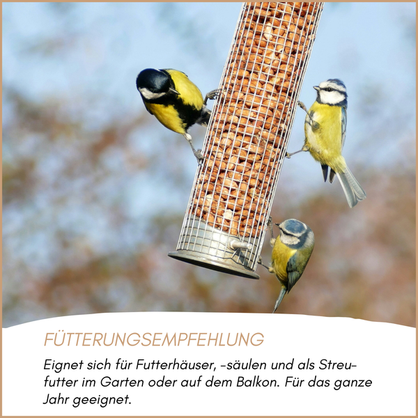 Futtersäule aus Metallgeflecht mit Meisen, gefüllt mit Nüssen. Ganzjährige Fütterungsempfehlung für Garten und Balkon.