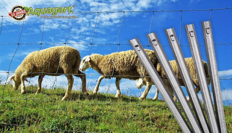 200 W-Profil Zaunanker Erdanker für Wildzaun Forstzaun Weidezaun 70cm