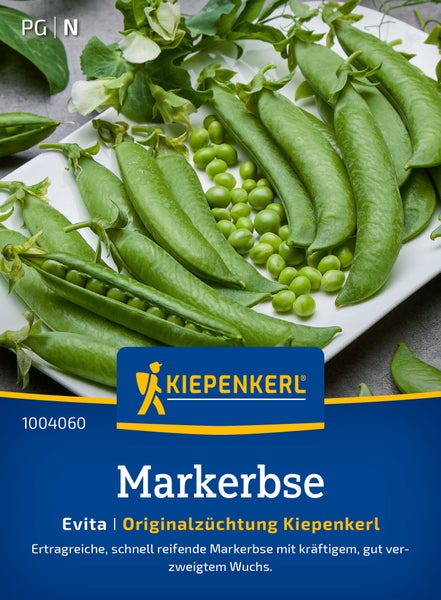 Kiepenkerl Markerbsen Saatgut Sorte Evita, ertragreiche und schnell reifende Erbsensorte fuer den Gemuesegarten.