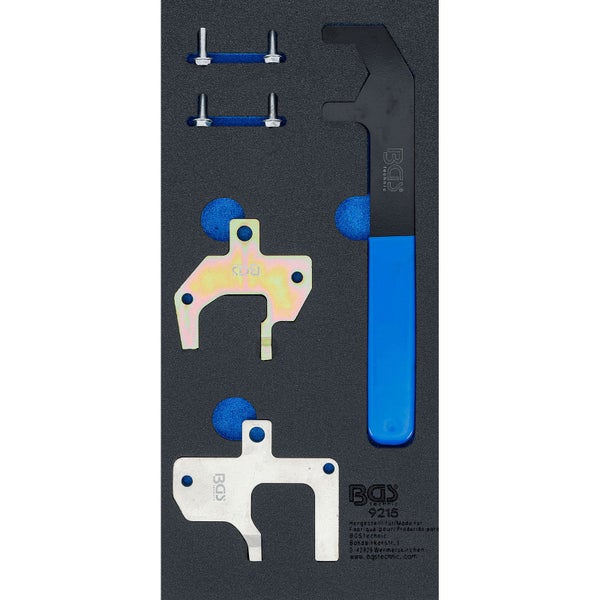 Blühender Felsenbirnenstrauch mit weißen Blüten und grünen Blättern