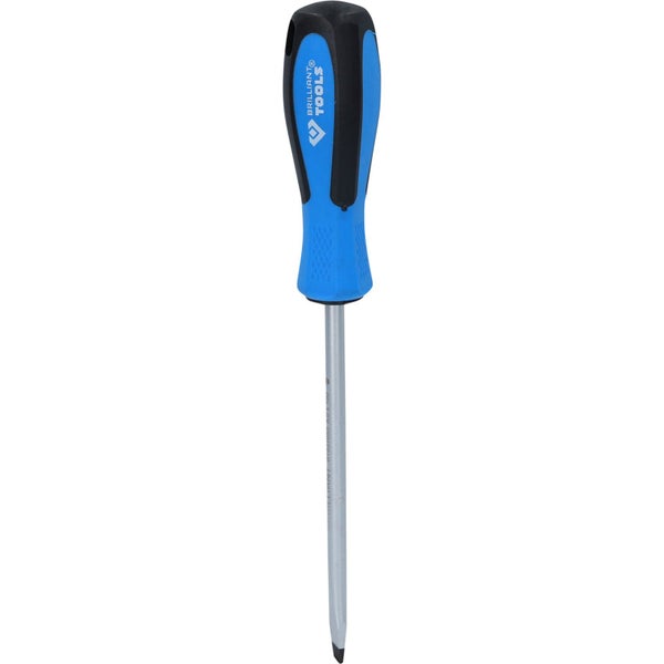 Schlitzschraubendreher mit blauem Griff von Brilliant Tools