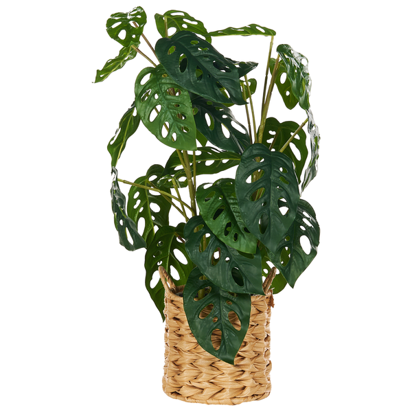 Kunstpflanze MONSTERA ADANSONII 53 cm Grün