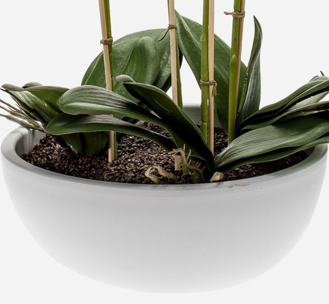 Künstlicher Ficus Benjamina mit grün-weißen Blättern und gedrehtem Stamm im schwarzen Topf.