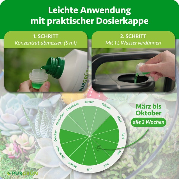 Anleitung: 5 Milliliter Düngerkonzentrat abmessen, mit 1 Liter Wasser verdünnen. Anwendung von März bis Oktober alle 2 Wochen. Purgrün Logo.