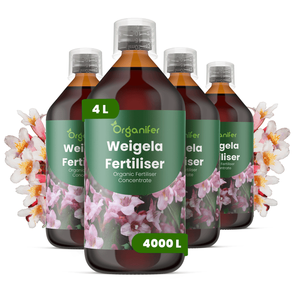 Vier Flaschen Organifer Weigelien Dünger, organisches Konzentrat, insgesamt vier Liter für viertausend Liter Gießwasser, mit Weigelienblüten.