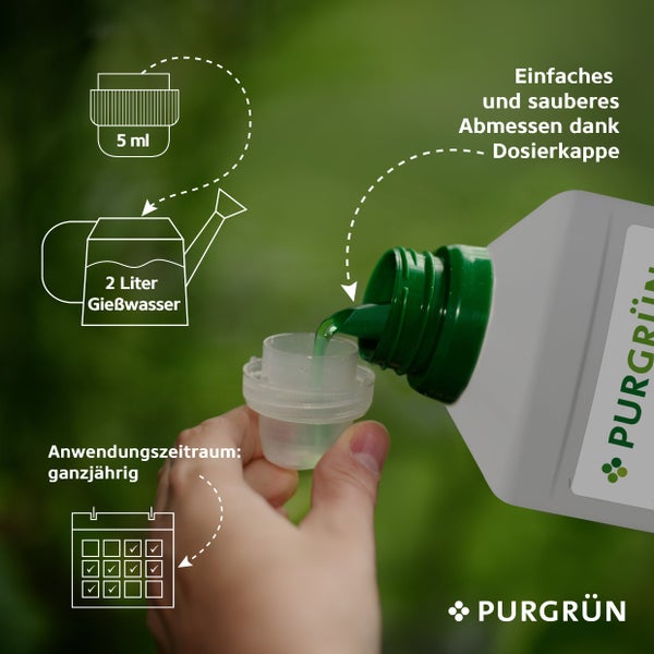 Purgrün Efeututen-Dünger 1 Liter