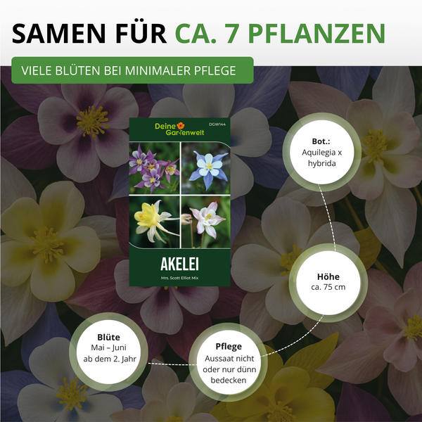 Akelei Samenpackung für circa sieben Pflanzen
